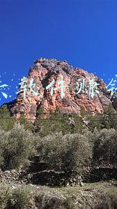 拉人头赚钱的软件(邀请他人获得奖励，赚钱类App拉人头攒金币涉嫌传销)