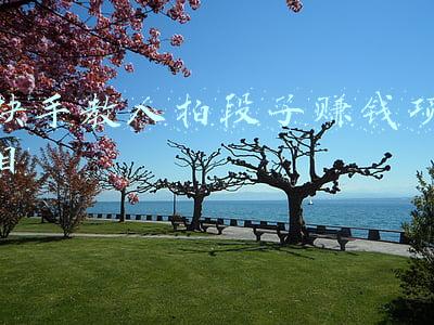 快手教人拍段子赚钱项目