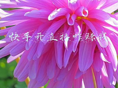 快手开直播咋赚钱