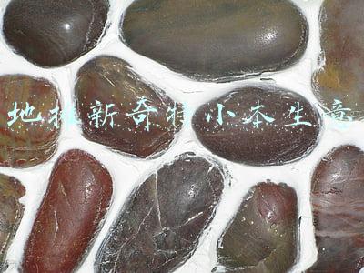 地摊新奇特小本生意