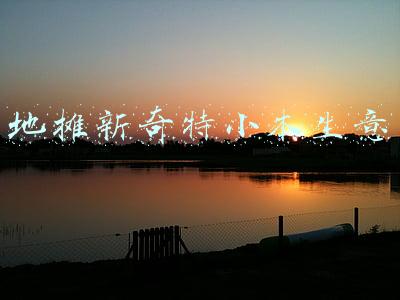 新奇特(2021新奇特电器大赏出炉！你的“心头草”入榜了吗？)