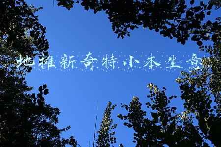 地摊新奇特小本生意