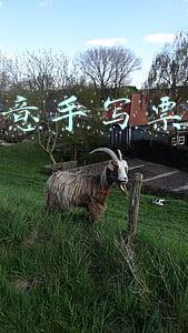 小本生意手写票据怎么开