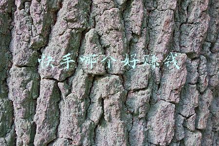 快手哪个时间段容易上热门(快手什么时间发作品更好？快手短视频上热门最佳时间)