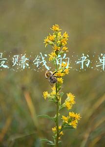 快手最赚钱的书单账号