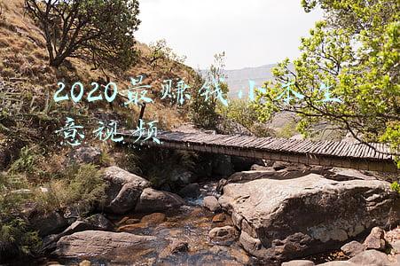 小本生意项目大全2020(2020十大最赚钱的生意，药店与餐饮行业是一个必需品)