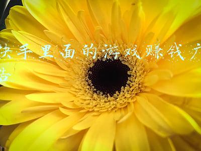 快手里面的游戏赚钱广告