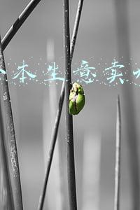 新手小本生意卖水果赚钱吗