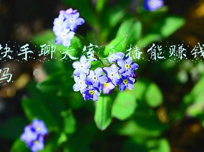 快手聊天室直播能赚钱吗
