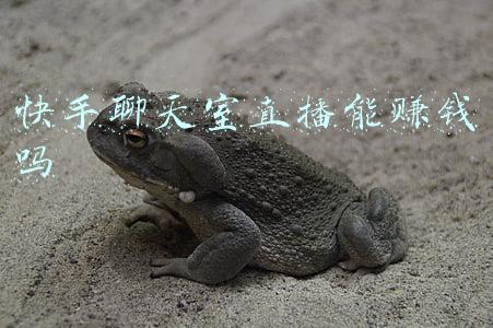 快手直播聊天室(秀场主播迁徙：陪人聊聊天月入5万元，这样的日子不再有)