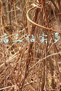 淘宝买家三钻要多少钱-淘宝买家三个钻大概花的多少钱