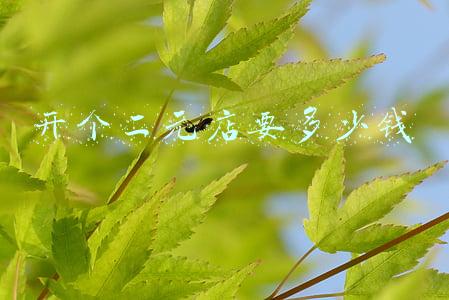 开个二元店要多少钱利润怎么样;开个二元店投资多少钱