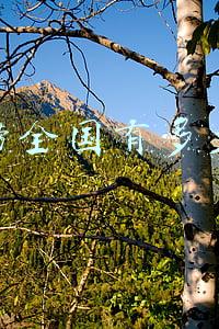 海底捞全国有多少家门店:海底捞全国有多少家店铺