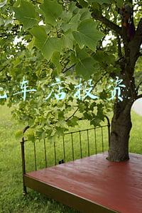 开洗车店需要多少钱 投资洗车店需要多少钱