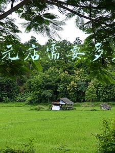 开个10元店要多少本钱：开10元店需要多少钱
