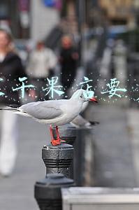 开干果店一个月能赚多少 干果店一年能赚多少钱