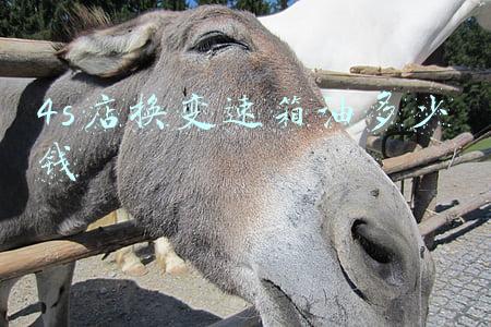 4s店换变速箱油多少钱高尔夫-高尔夫6换变速箱油多少钱