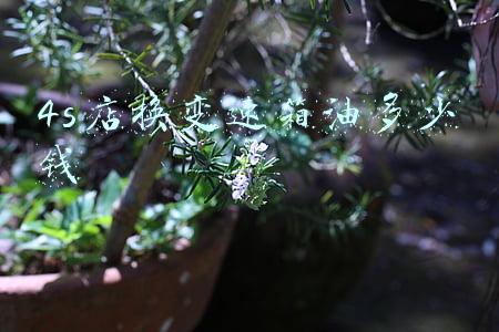 变速箱油多久换一次自动挡-变速箱油多久换一次