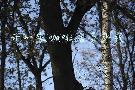 开一家咖啡甜点需要多少钱-开一家咖啡甜品店要多少钱