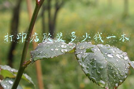 打印胶装裁切一体机；打印胶装裁切一体机价格