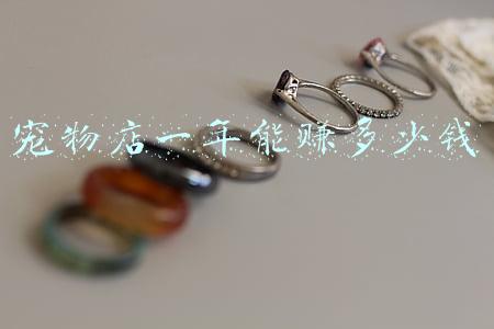 宠物店一个月能赚多少钱_宠物店一个月能赚多少