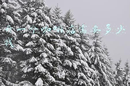 开一家小的咖啡店需要多少钱；开一家小的咖啡店需要多少钱投入