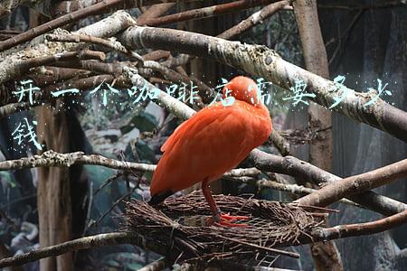 开一个咖啡馆要多少钱(咖啡店成本)