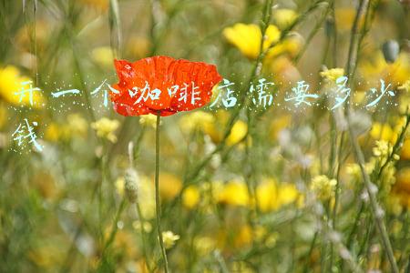 开一个咖啡店的成本；开一家咖啡店的成本