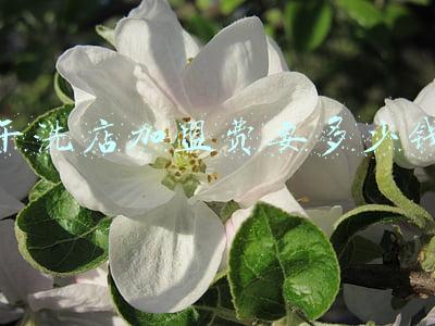 干洗店加盟多少钱 加盟干洗店要多少钱《干洗店加盟价格表》
