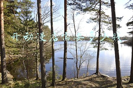 开动漫店需要什么手续《开动漫店需要多少钱》