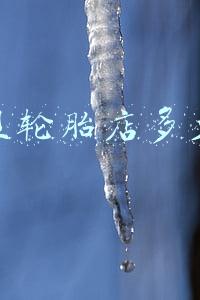 4s店换轮胎多少钱《4s店换轮胎多少钱一个》