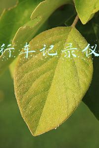 汽修店装行车记录仪多少钱《汽修店装行车记录仪多少钱?》