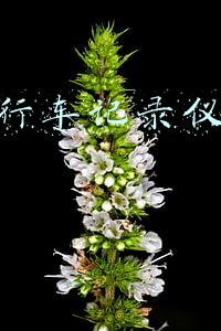 行车记录仪需要在4S店买吗(买车行车记录仪是4s店装吗)