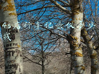 4s送的行车记录仪(4s送的行车记录仪怎么样)