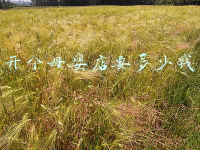 开个母婴店需要投资多少钱-开个母婴店投资多少钱