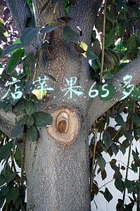 苹果12实体店多少钱 苹果12实体店多少钱128g