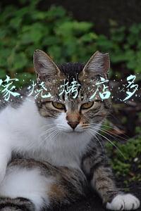 开个烧烤店大概需要投资多少钱_开一家烧烤店要多少钱