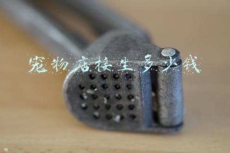 宠物店接生多少钱