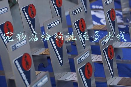 流浪狗去宠物店洗澡多少钱-宠物店给流浪狗洗澡多少钱一次