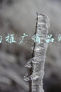 快手的推广商品赚钱吗