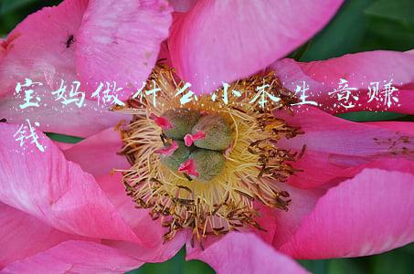 宝妈做什么小本生意赚钱