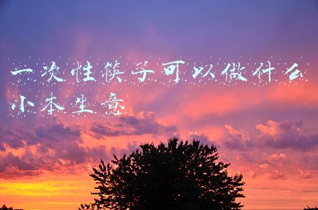 一次性筷子可以做什么小本生意