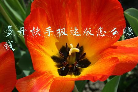 快手极速版双开挣钱可以吗(游戏搬砖，头条刷墙，哪个更适合你？)
