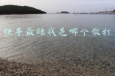 快手最赚钱是哪个散打