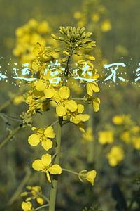 新媒体部门考核标准(「绩效+奖金｜报名中」本省融媒体中心招聘公告)