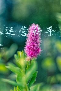 新媒体运营新手多久才能上手