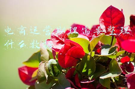 电商运营助理数据分析(如何做好电商数据分析？| 推荐收藏)