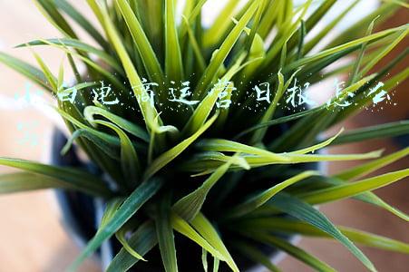 电商运营月报怎么写(天猫旗舰店生意参谋可视化报表)