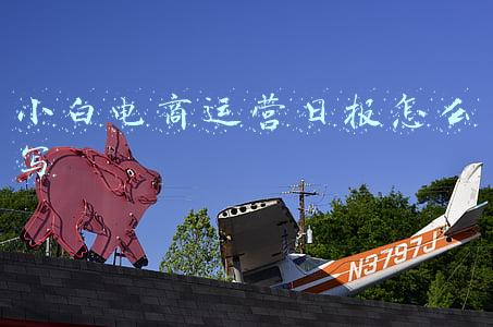 电商运营周报怎么写内容(月薪5万的人，周报这样写)