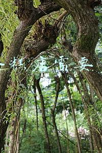 开个蛋糕店大概需要投资多少钱-开个蛋糕店